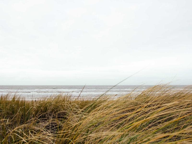 Brandy Old Fashioned Kit