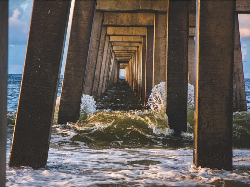 Olympic Peninsula Dungeness Crab